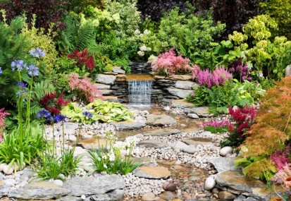 Creative ideas for a standout summer garden