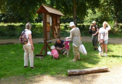 Doorstep Safari - Wildlife for Kids