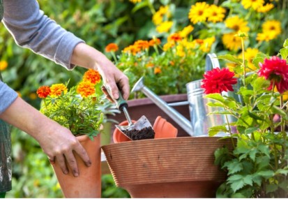 12 tips for a more sustainable garden