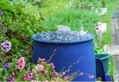 Rainwater harvesting 101: How to use rainwater at home